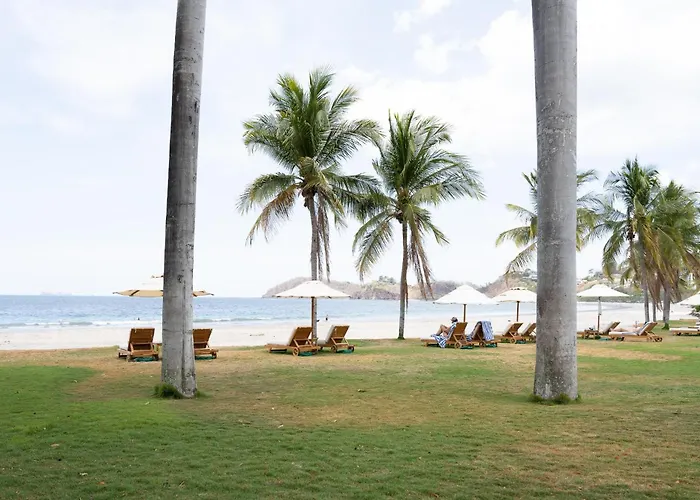 Villa Palms 20 Luxury Oceanfront